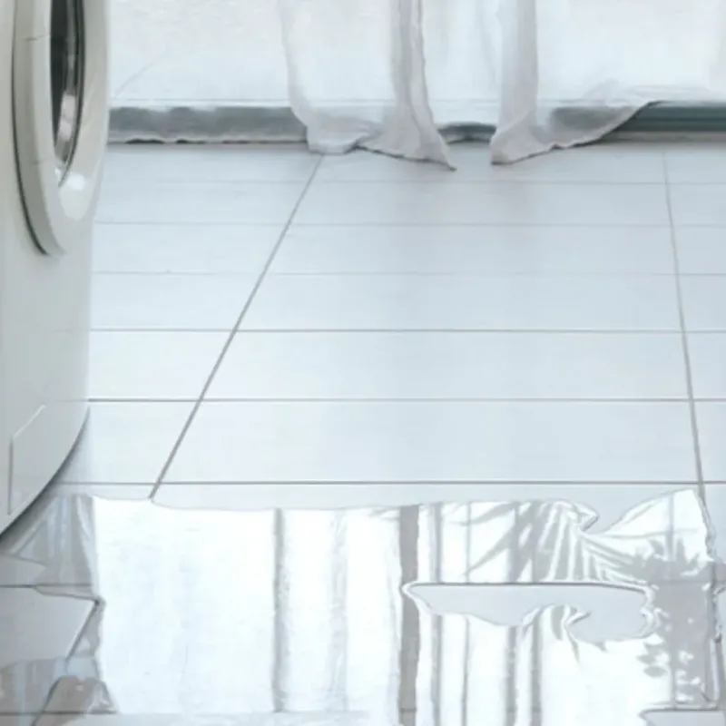 Appliance Leak Cleanup in Lee County, FL